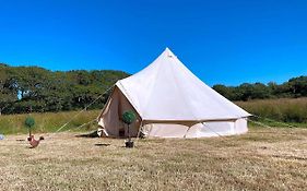 Coedmor Camping